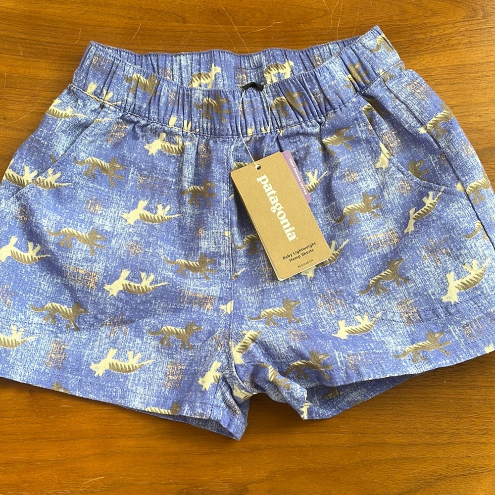 Patagonia 2T shorts